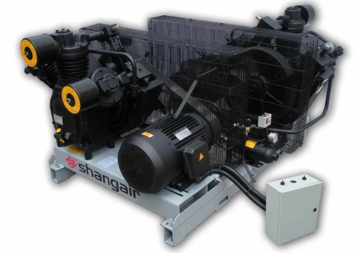 Tus tsiaj raj mis Ua Tshuab Cua Compressor